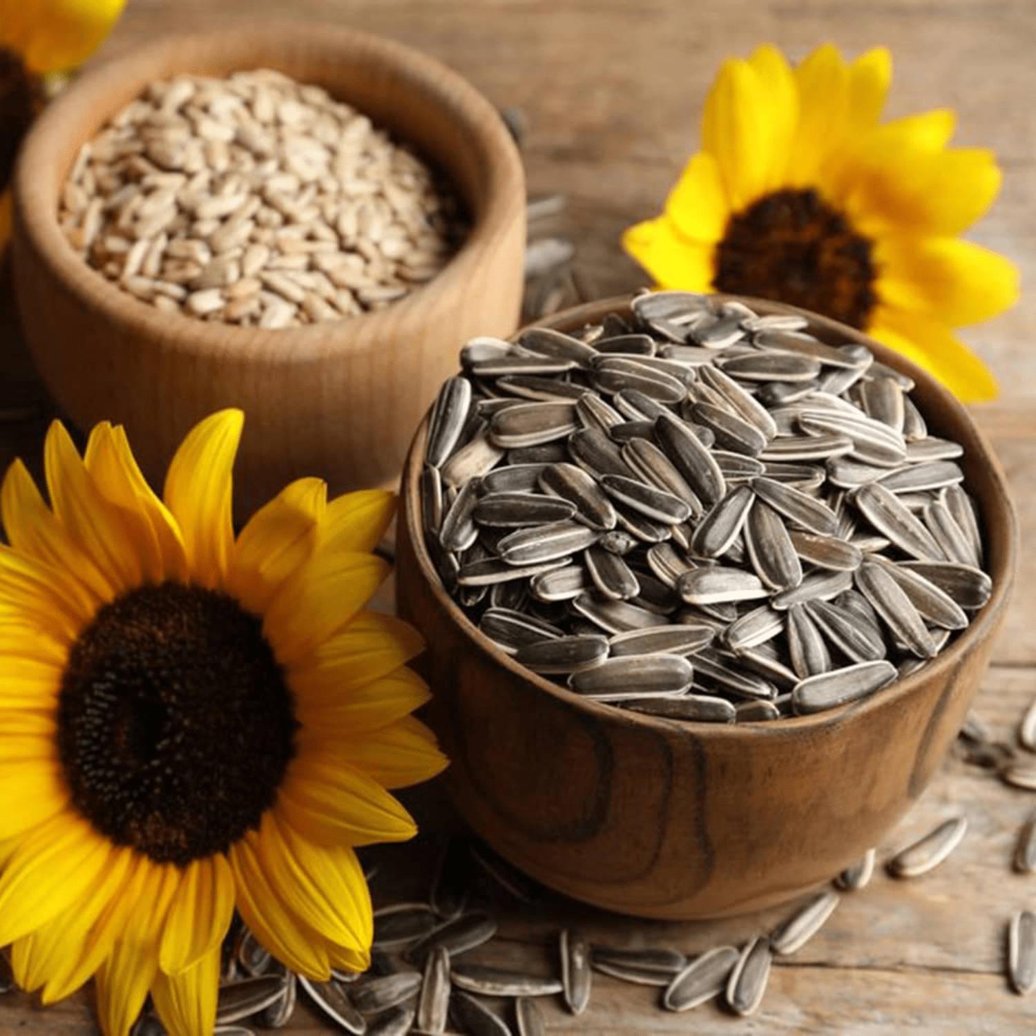 sunflower-seeds (2)